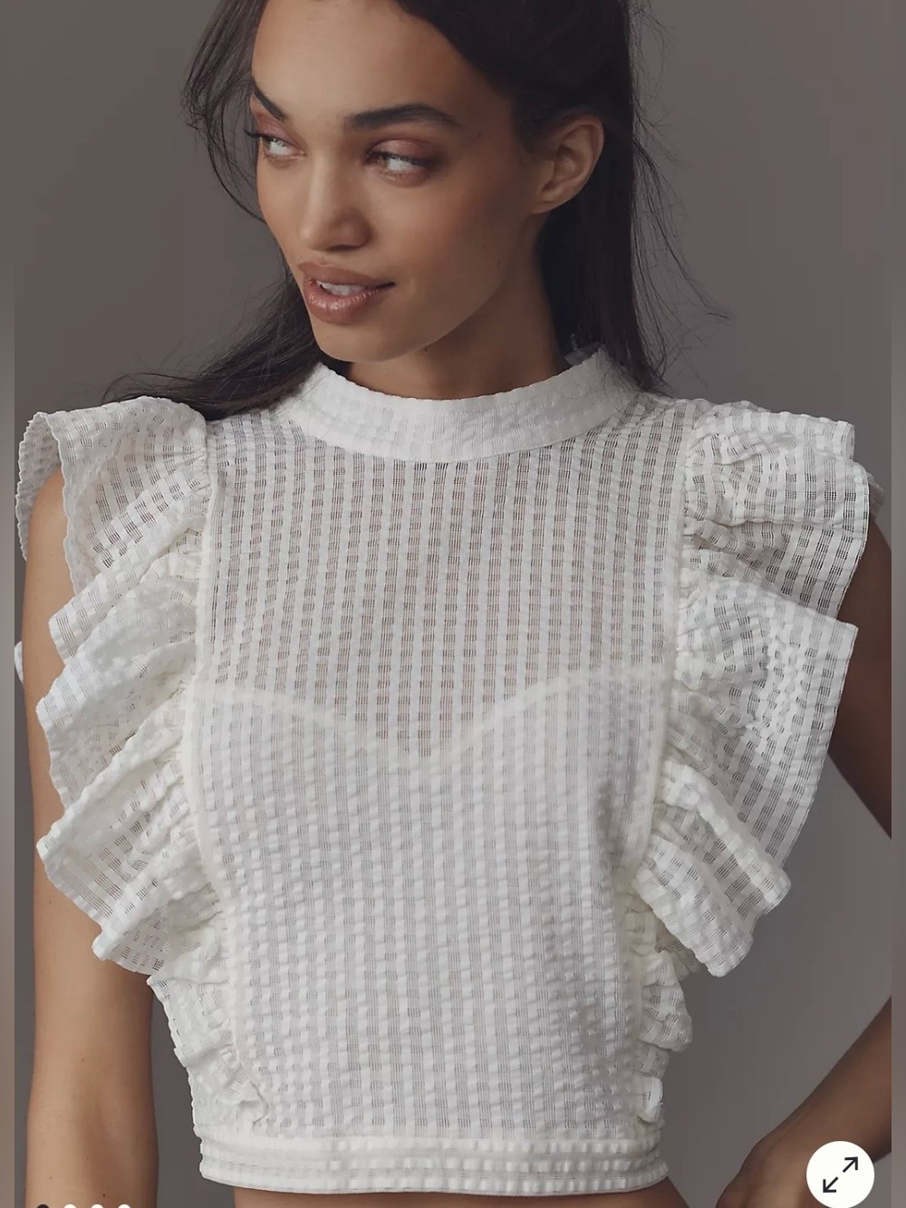 Maeve Anthropologie Women’s Cropped Ruffle Mesh Top Bustier Check Small
